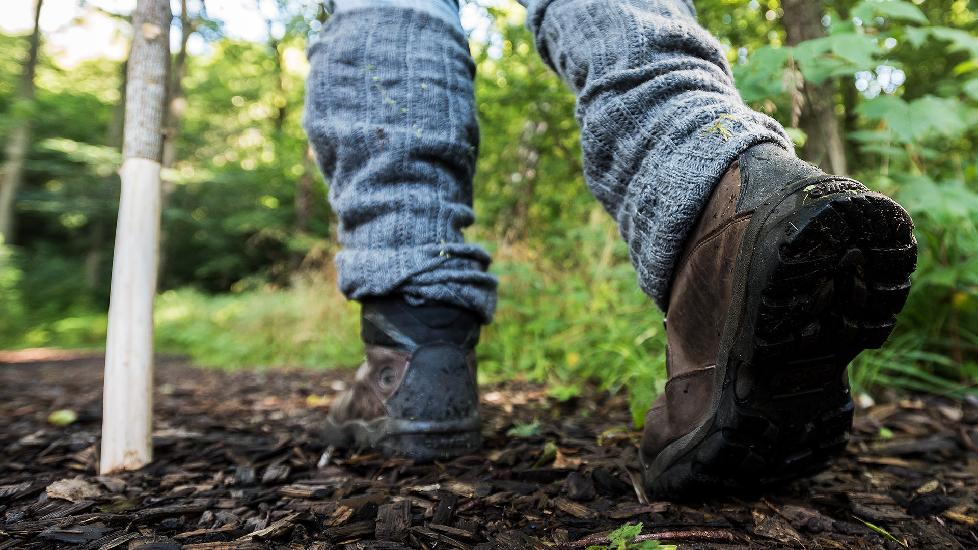 Ingen beskrivning tillgänglig