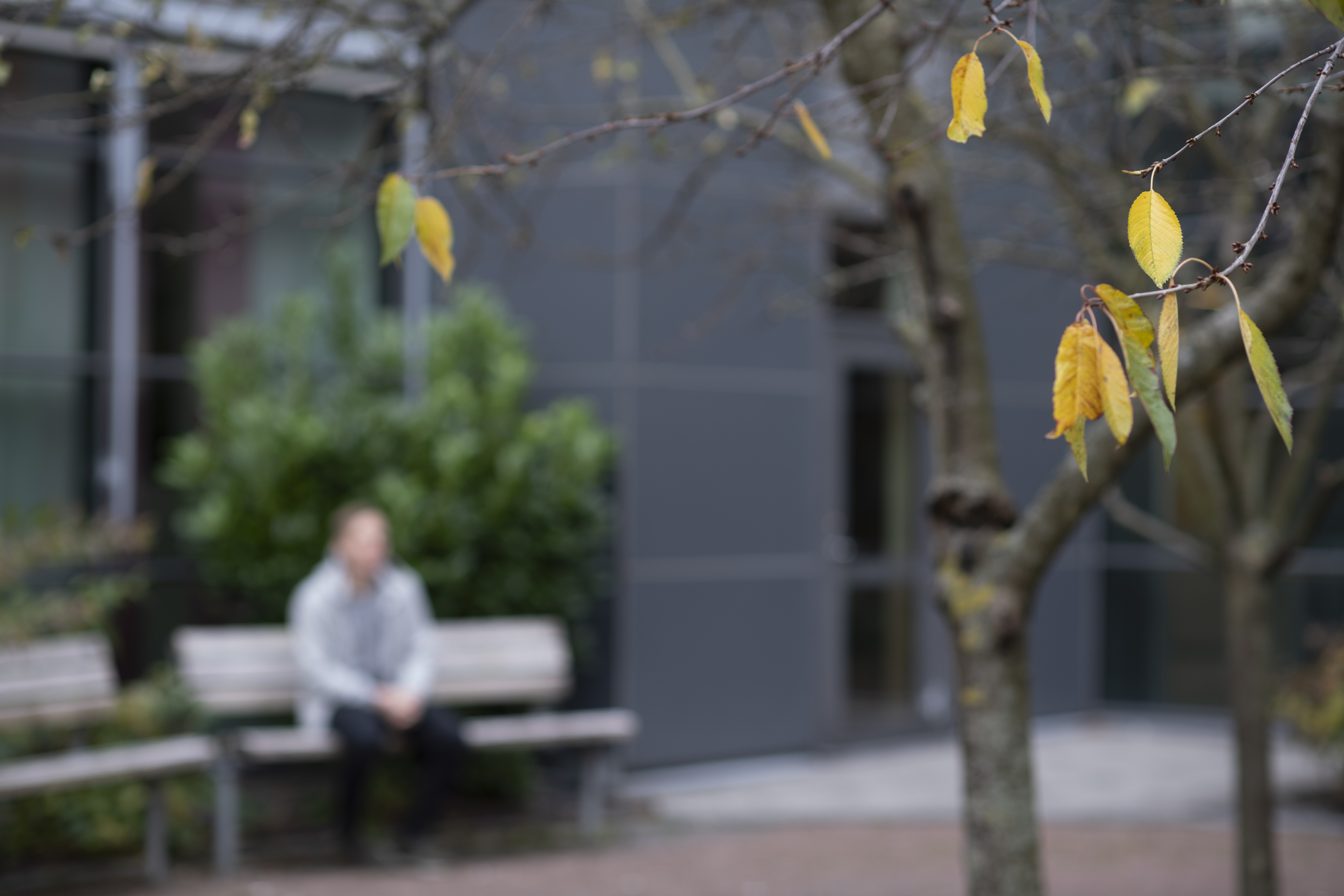 Patient som sitter på en bänk på innergård. Träd i förgrunden