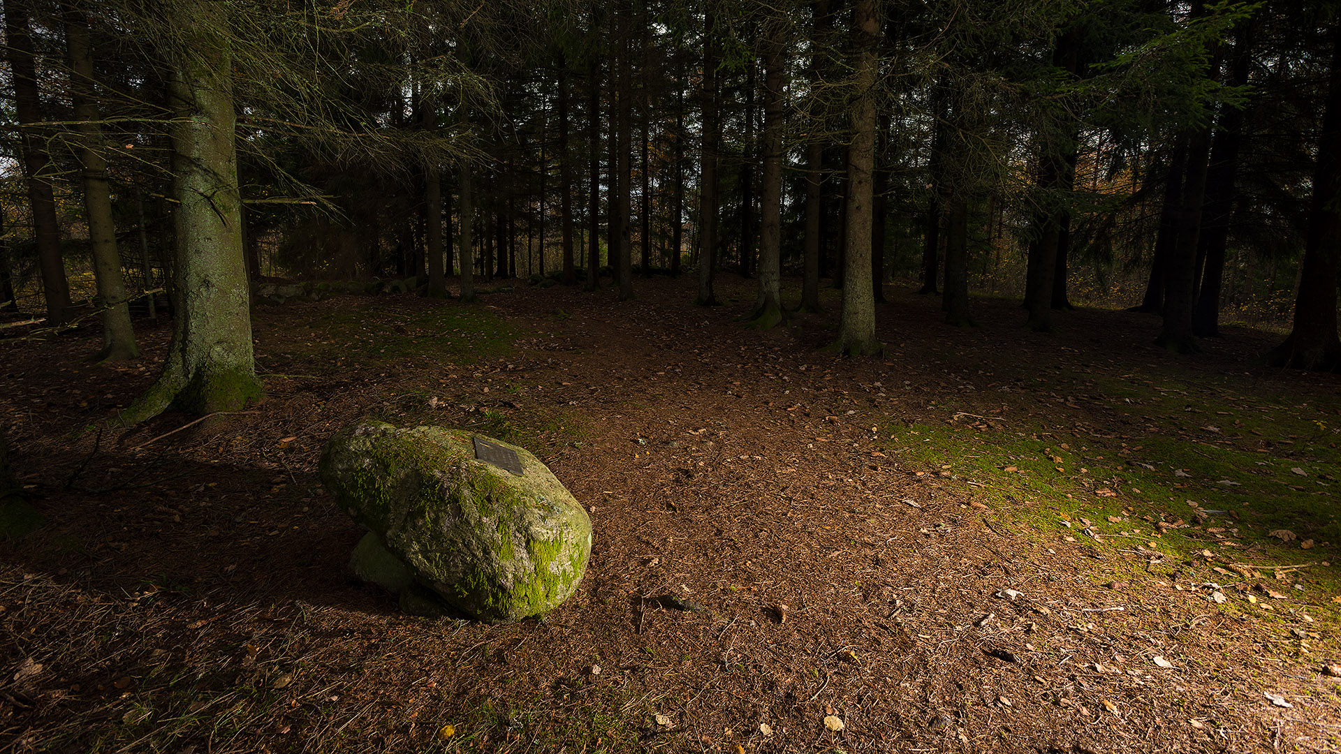 Ingen beskrivning tillgänglig