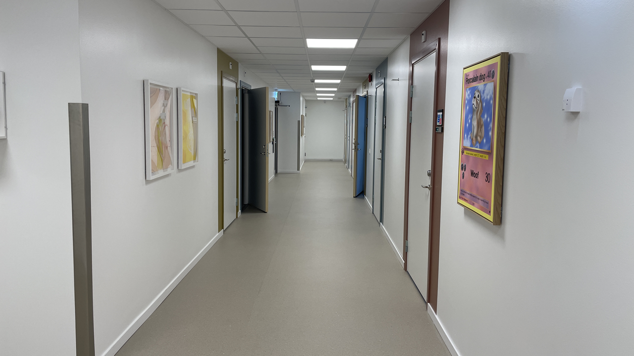 Korridor med vita väggar och tavlor på. Dörrar in till behandlingsrummen.