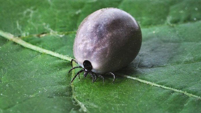 Ingen beskrivning tillgänglig