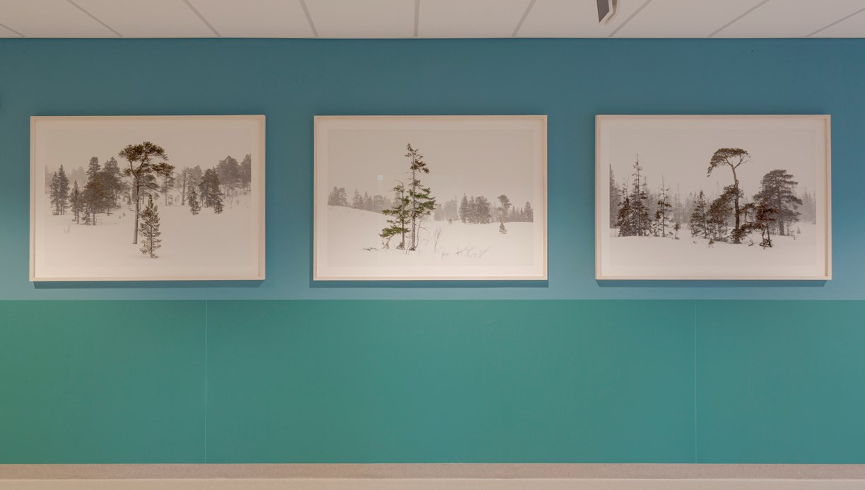 Tre fototavlor mot en turkosblå vägg