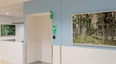 Fototavlor som visar skog, mot ljusblåa väggar på radiologin