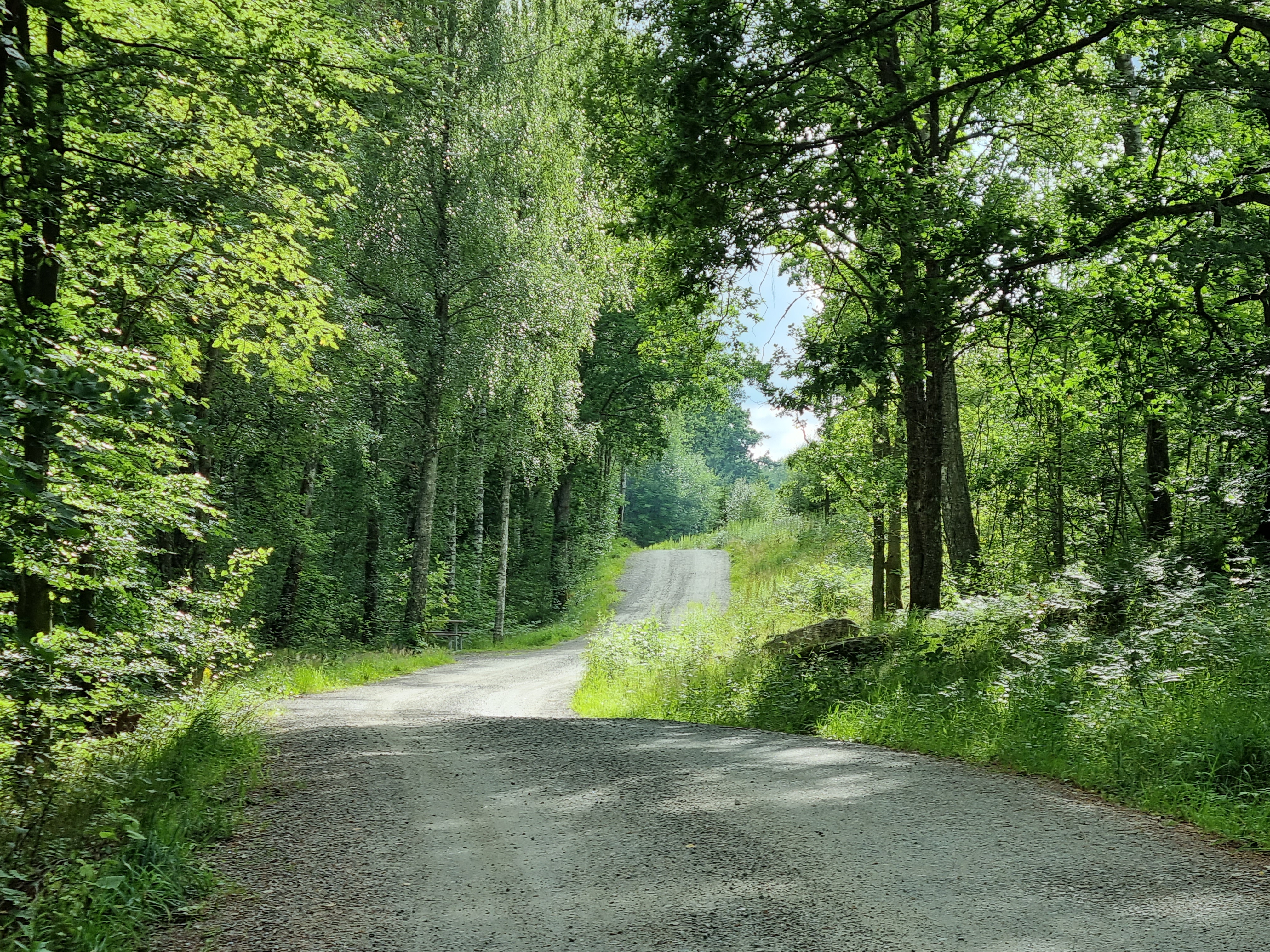 En lantlig grusväg med grönska runt om