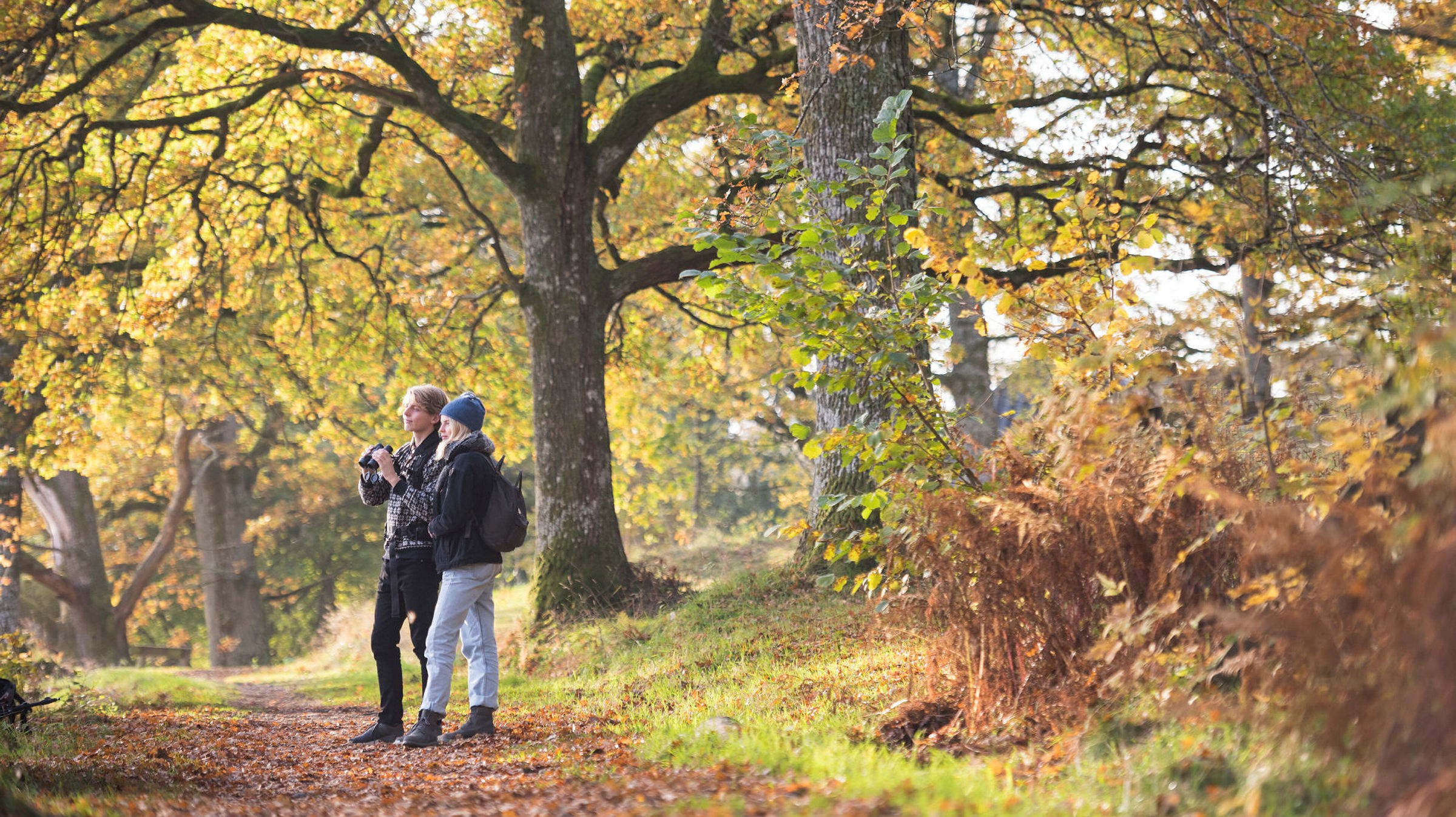 Ingen beskrivning tillgänglig