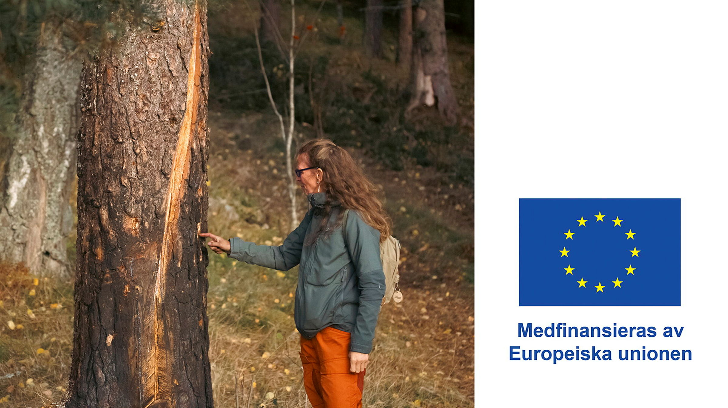 Person står bredvid trädstam, EU-logga bredvid med texten Medfinansieras av Europeiska unionen