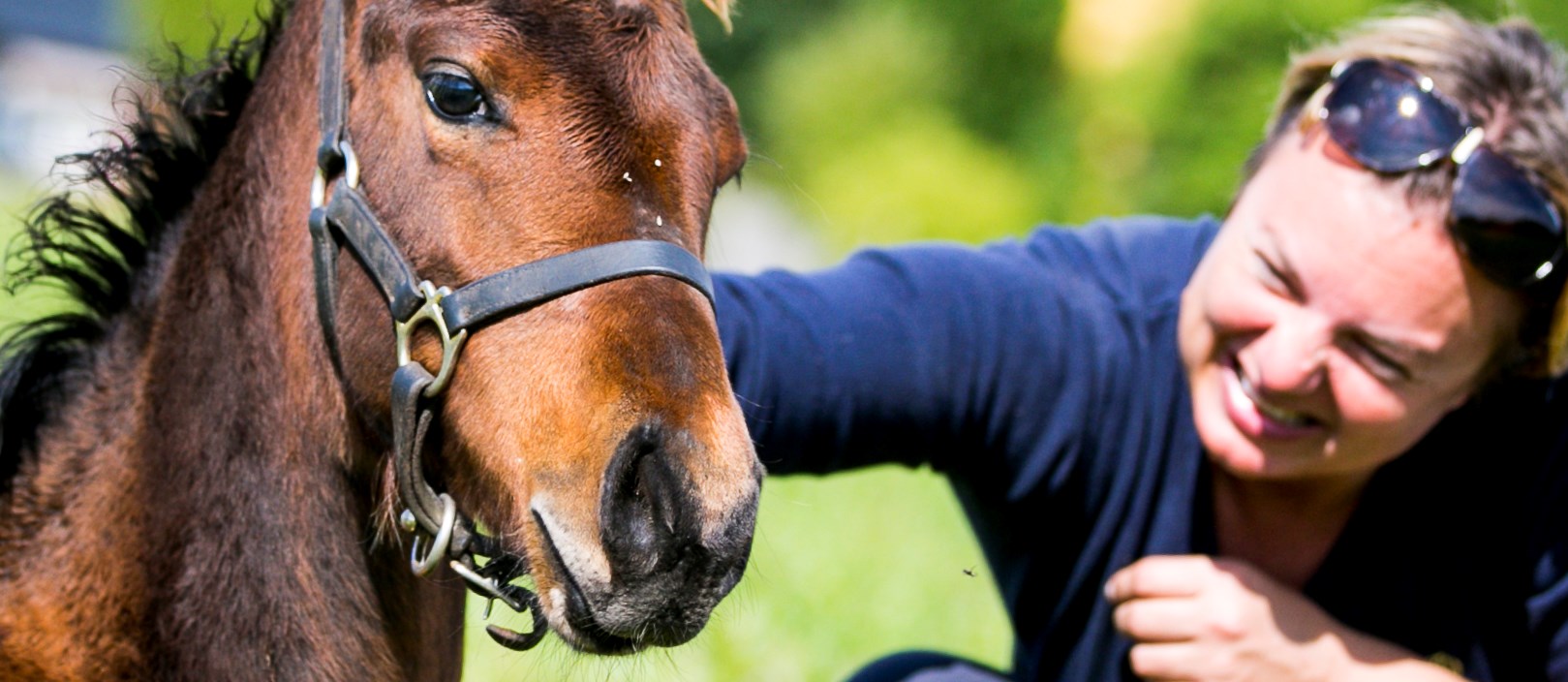 En människa klappar en häst.