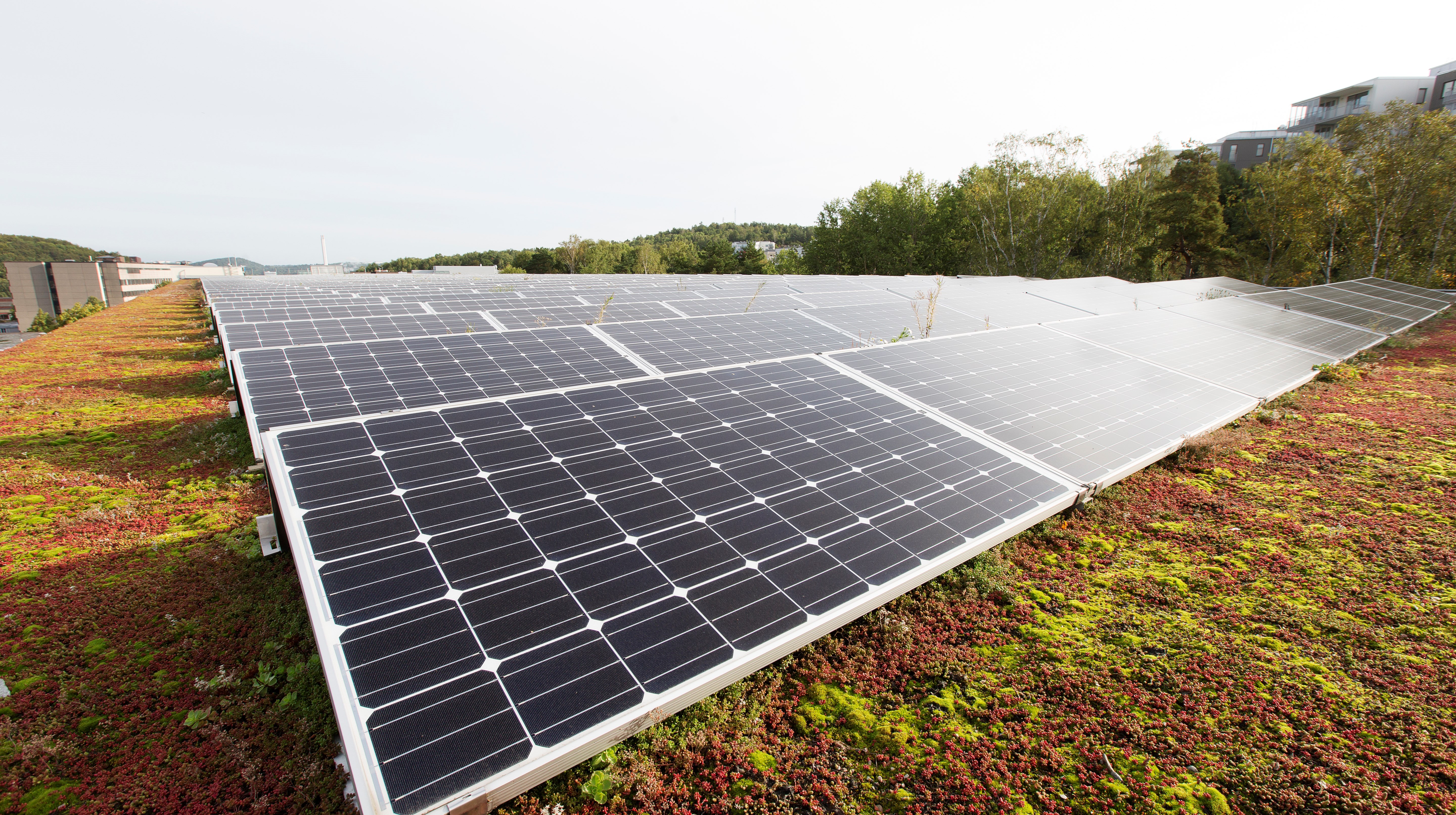 Solpaneler på sedumtak, Östra sjukhuset