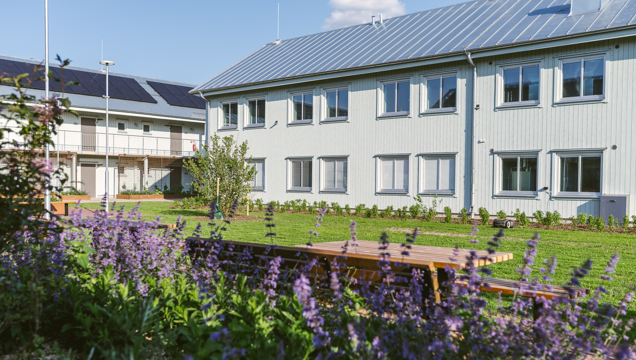 Internatbyggnad med växter framför