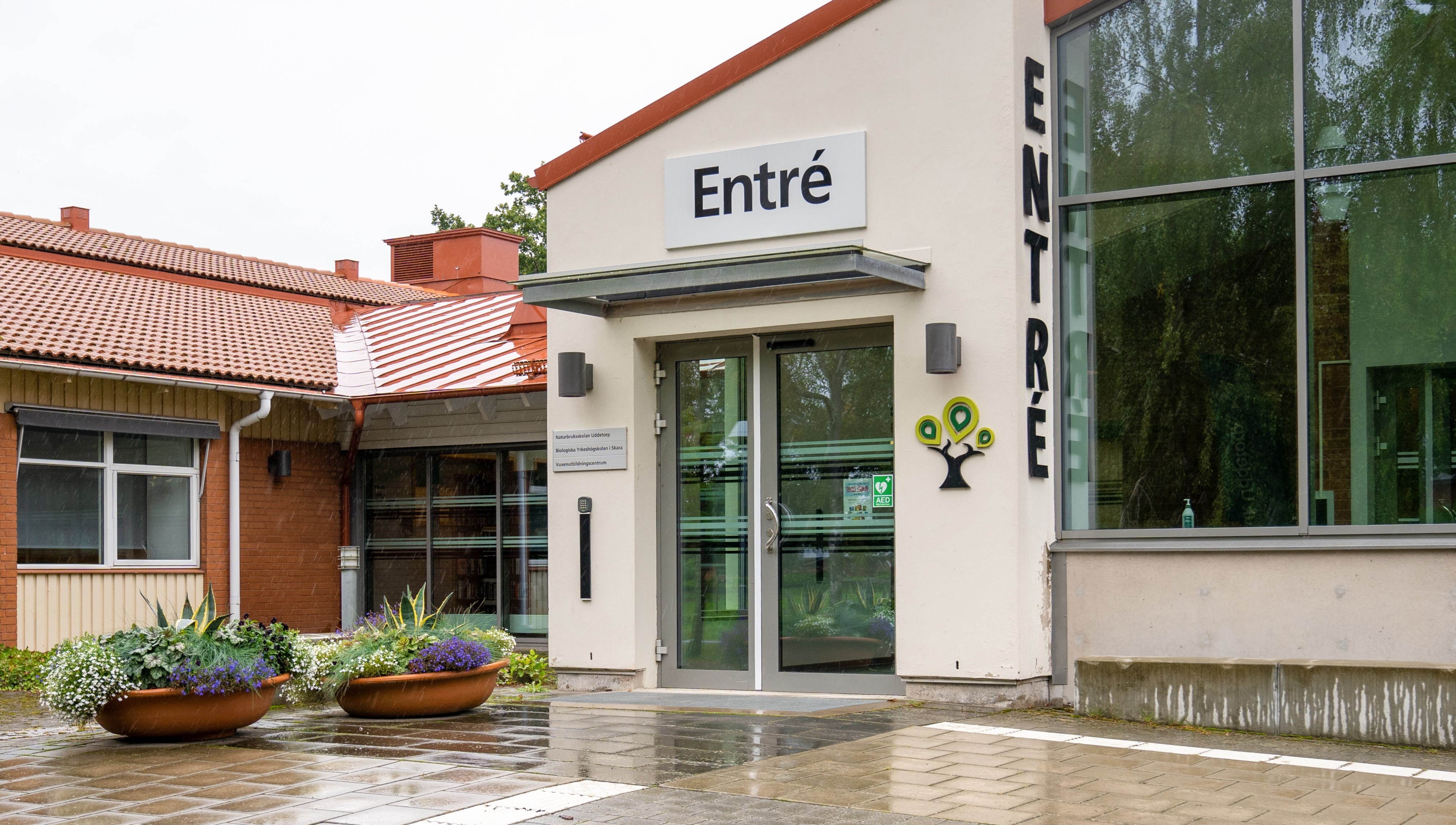 Entre till huvudbyggnad med blomkrukor utanför