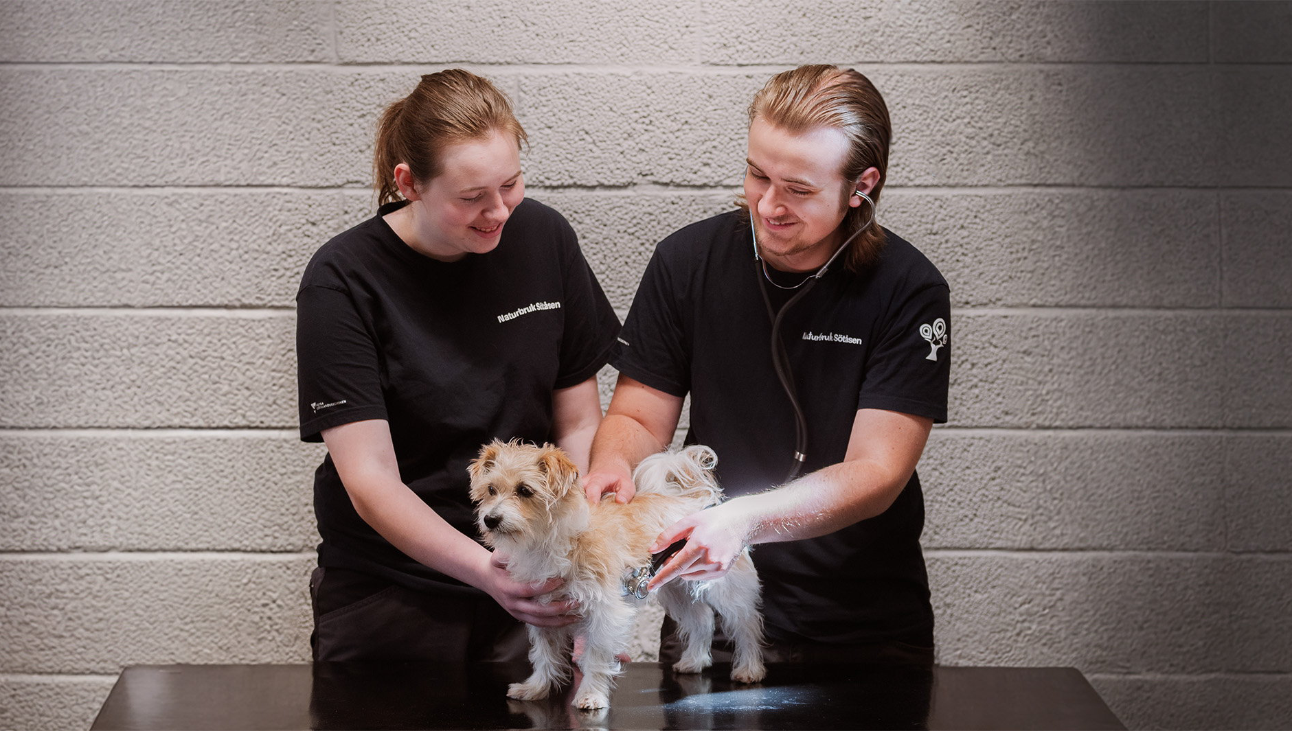 Två elever undersöker liten hund som står på ett undersökningsbord