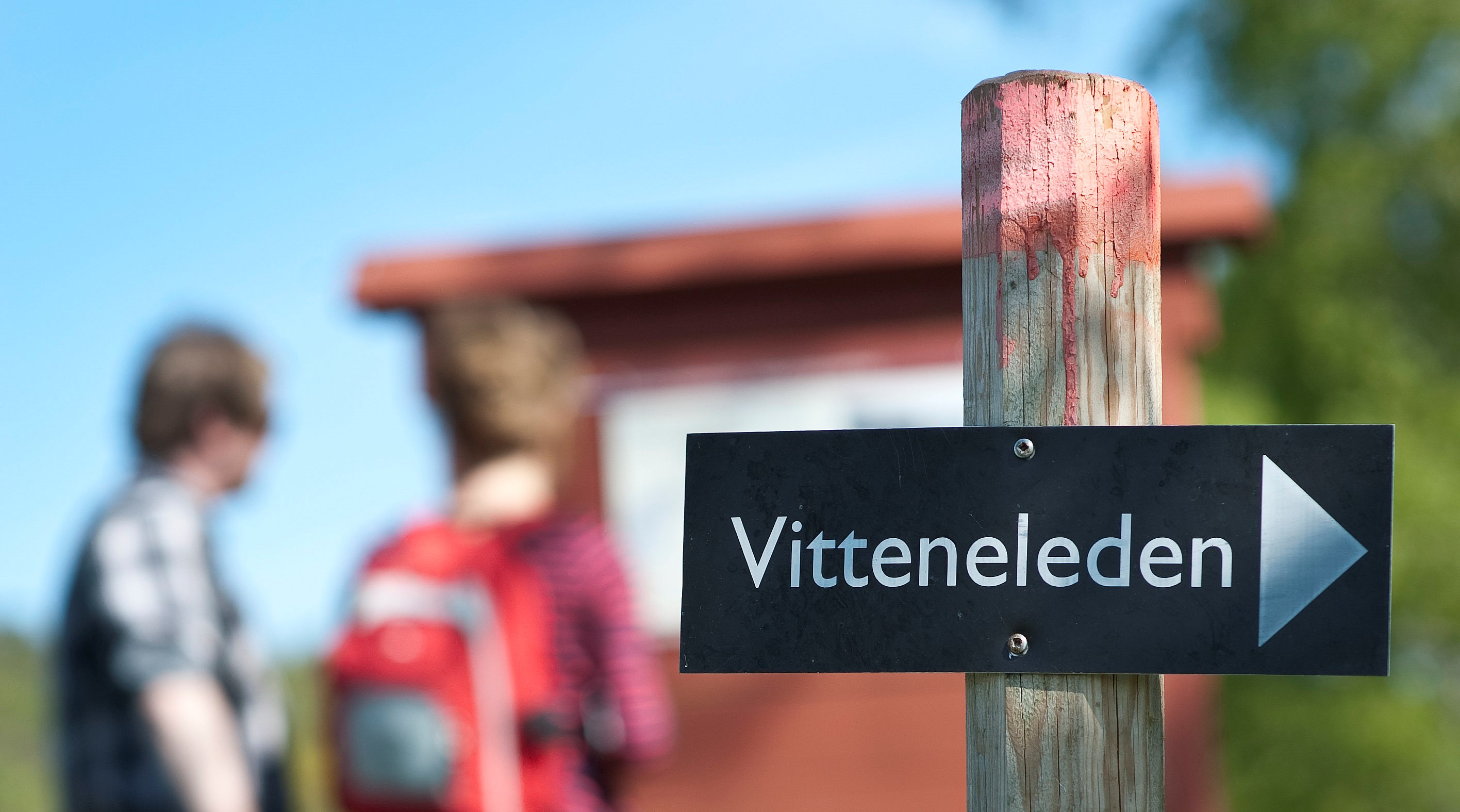 Bild på riktningspil för Vitteneleden