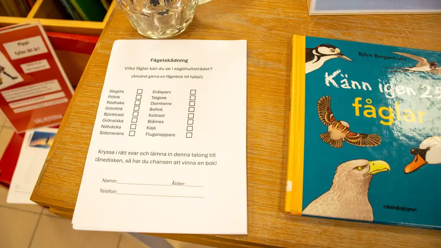 Ett vitt papper på ett bord. På pappret står det Fågelskådning och där kan man kryssa i vilka fåglar man har sett i Sagohultsträdet. Bredvid ligger en fågelbok för barn..
