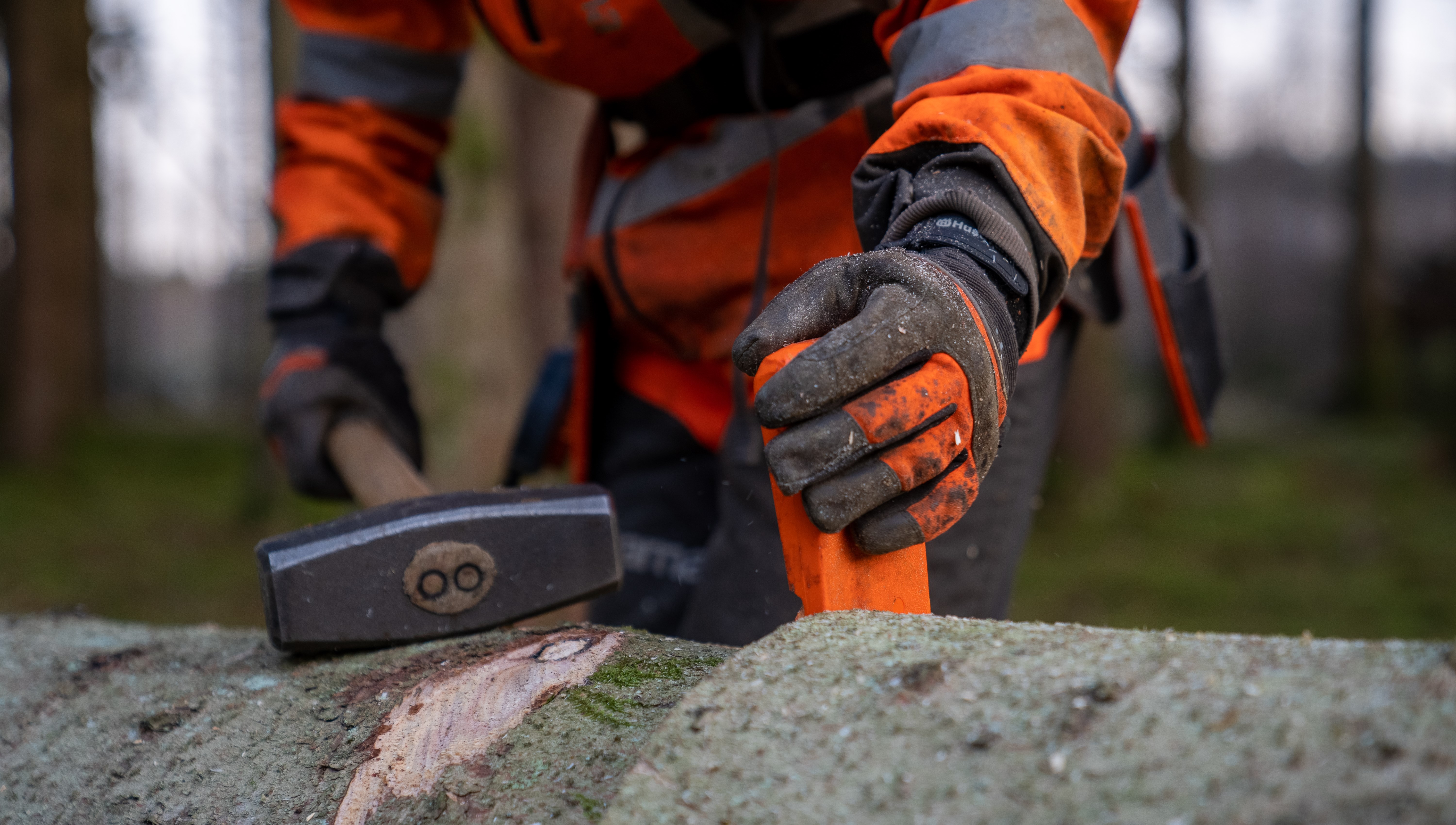 Två händer håller i kil och slägga som vilar på en trädstam