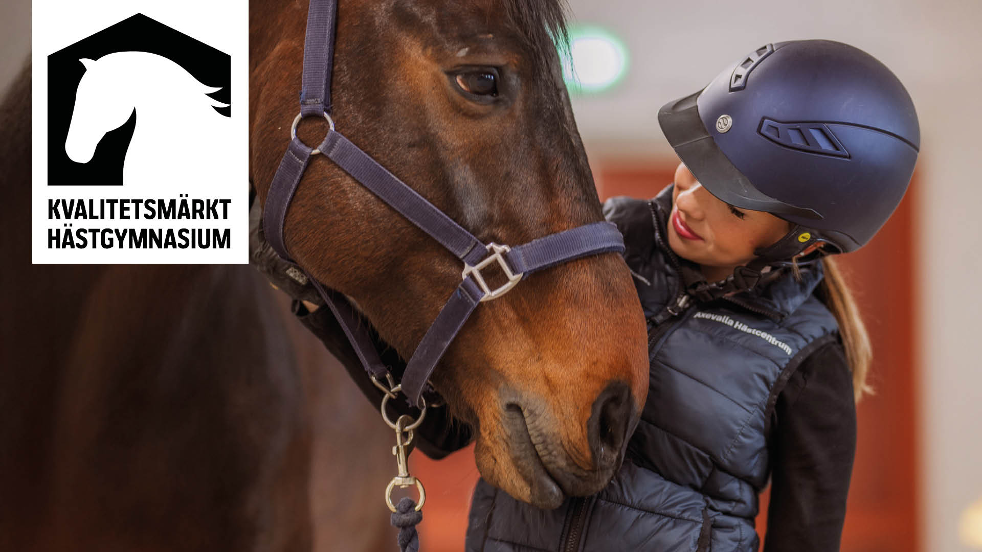 Elev med ridhjälm står bredvid häst och med loggan för Kvalitetsmärkt hästgymnasium