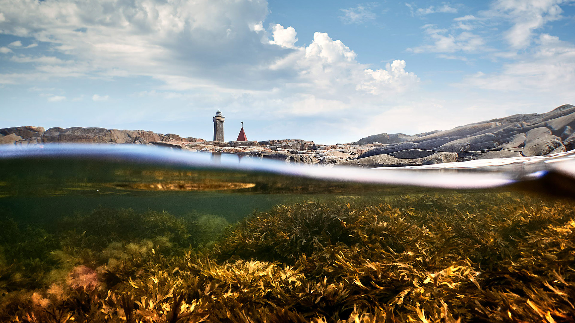 Ingen beskrivning tillgänglig