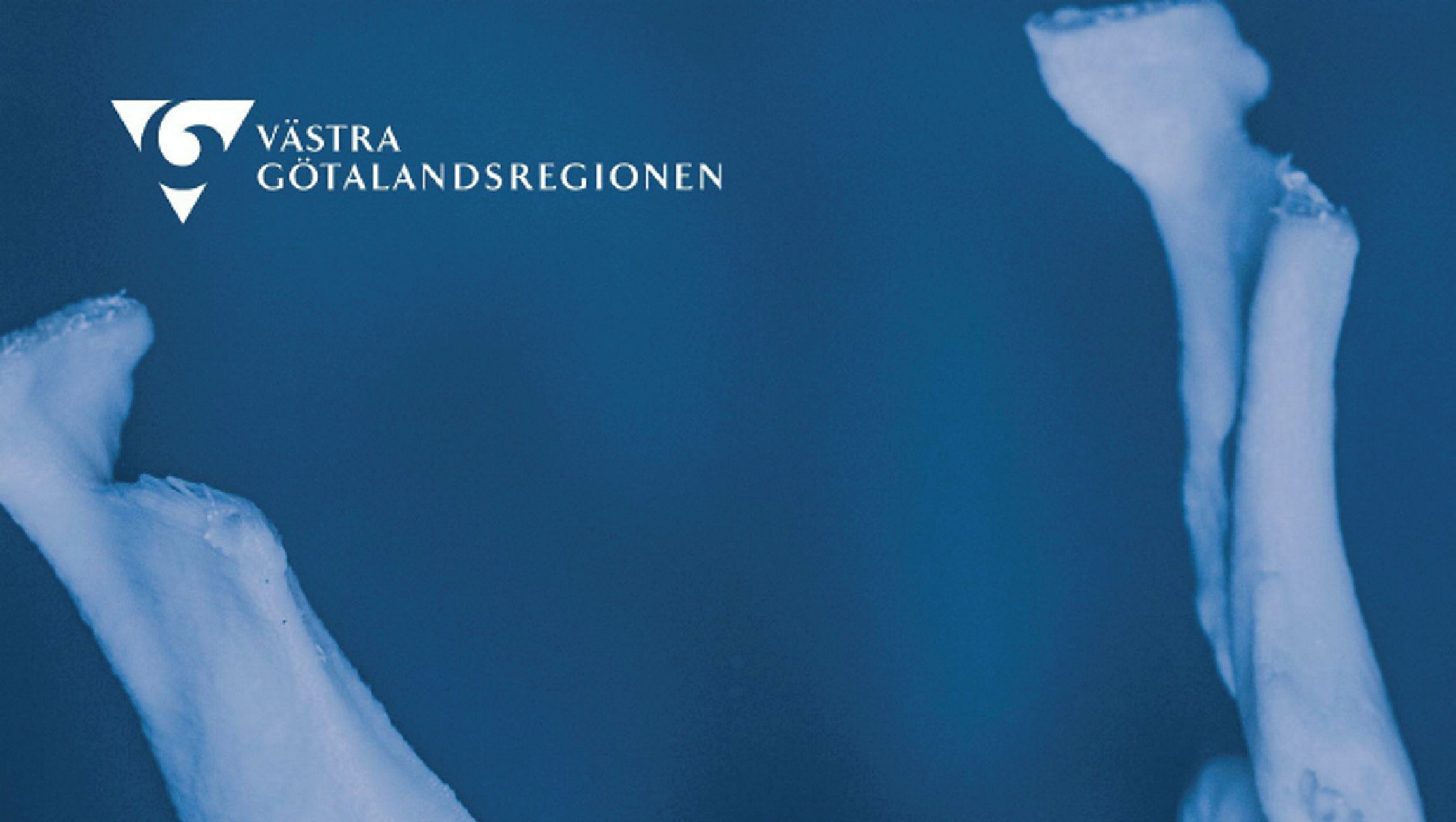 Ingen beskrivning tillgänglig