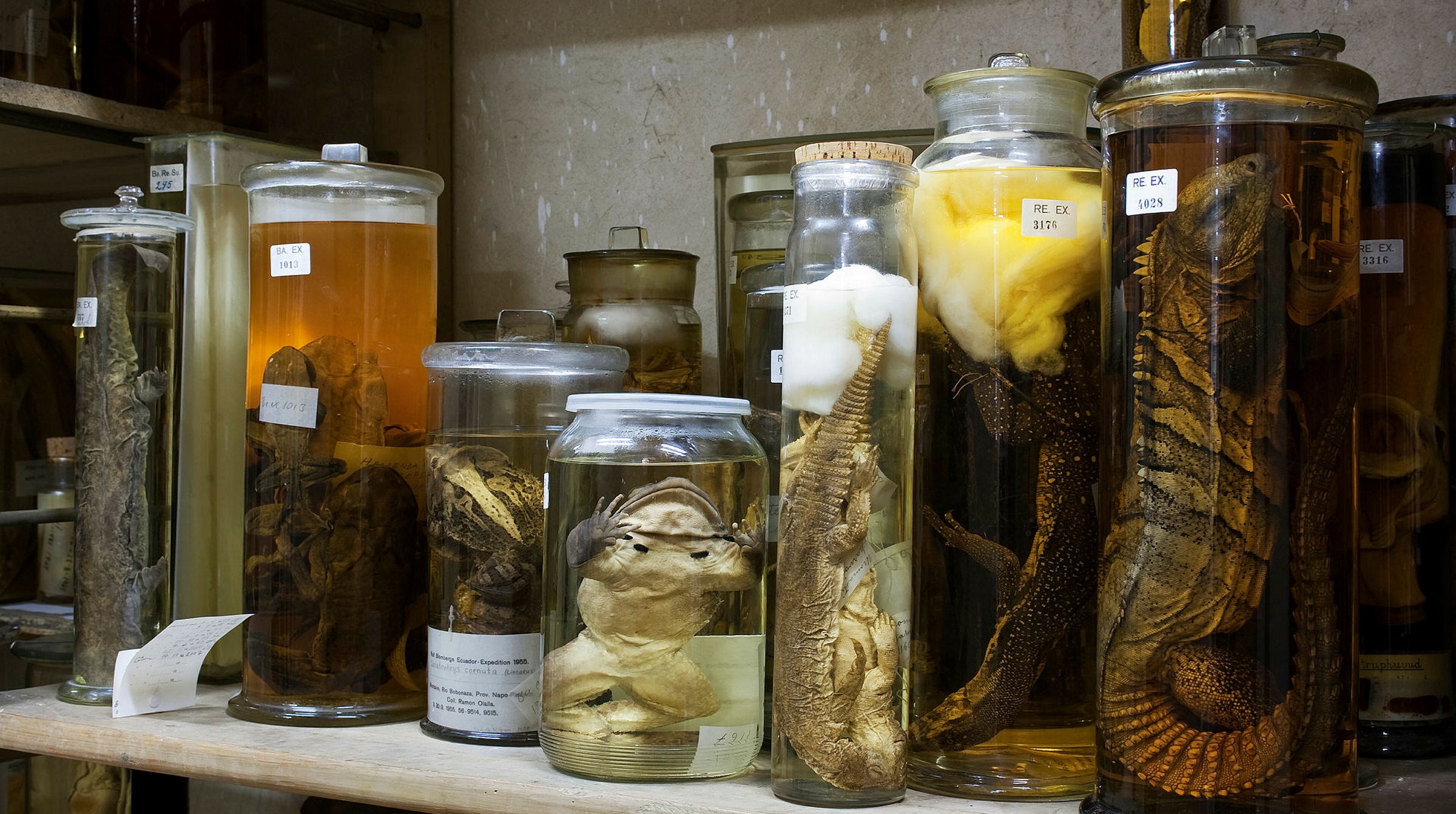 Ingen beskrivning tillgänglig