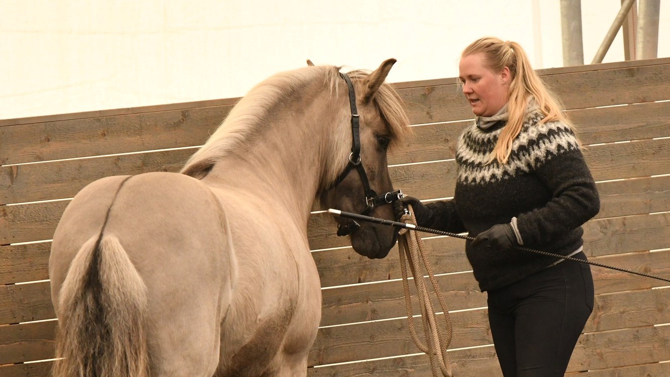 Porträtt på ridlärare Malin Jansson som jobbar med en islandshäst
